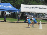 IMG_3458