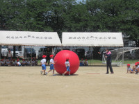 IMG_3524