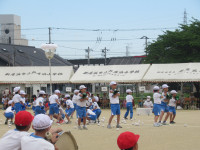 IMG_3585