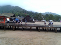 IMG_20260624_094356