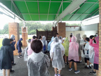 IMG_20260624_150143
