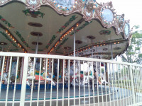 IMG_20260624_151350